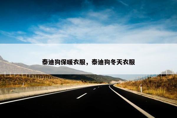 泰迪狗保暖衣服，泰迪狗冬天衣服