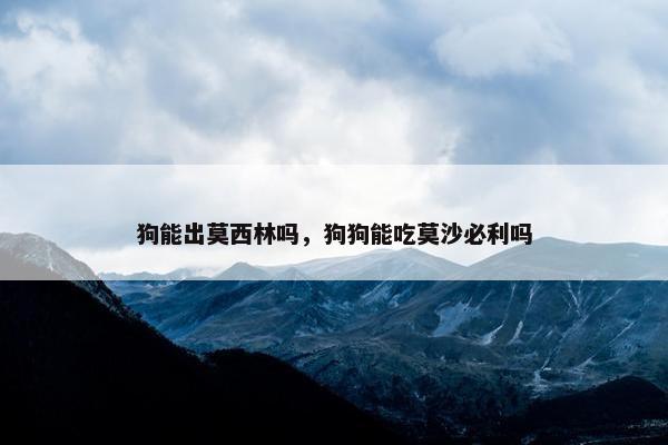 狗能出莫西林吗，狗狗能吃莫沙必利吗