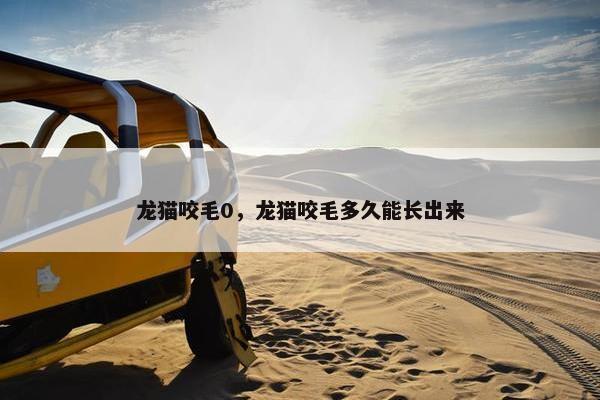 龙猫咬毛0，龙猫咬毛多久能长出来