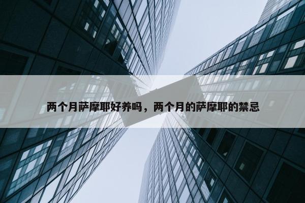 两个月萨摩耶好养吗，两个月的萨摩耶的禁忌