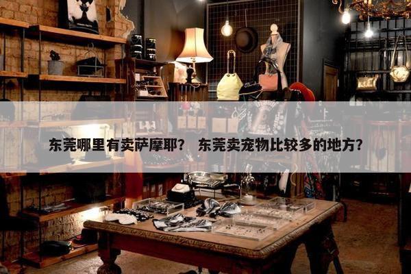 东莞哪里有卖萨摩耶？ 东莞卖宠物比较多的地方？