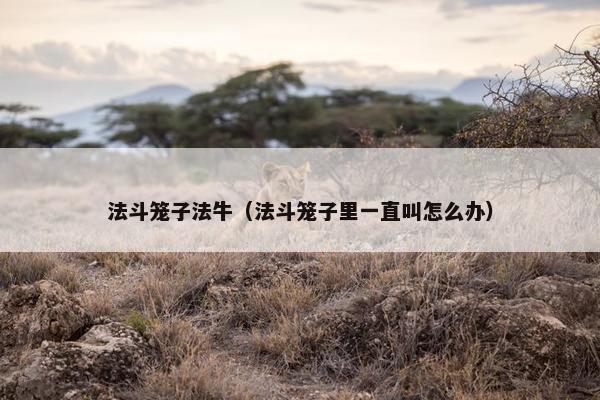 法斗笼子法牛（法斗笼子里一直叫怎么办）