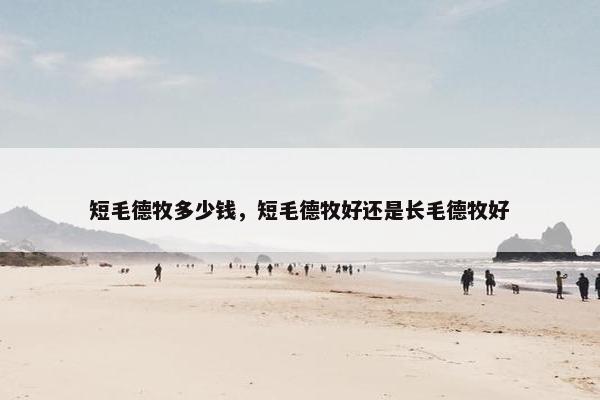 短毛德牧多少钱，短毛德牧好还是长毛德牧好