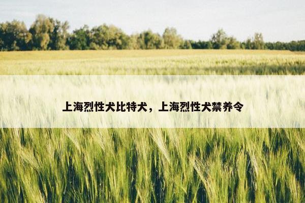 上海烈性犬比特犬，上海烈性犬禁养令