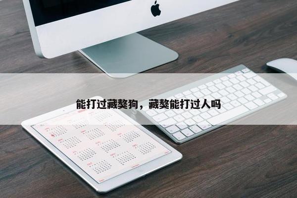 能打过藏獒狗，藏獒能打过人吗