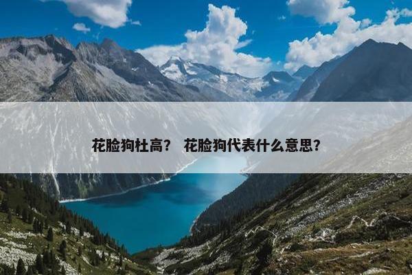 花脸狗杜高？ 花脸狗代表什么意思？
