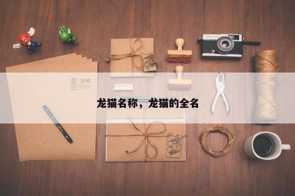 龙猫名称，龙猫的全名