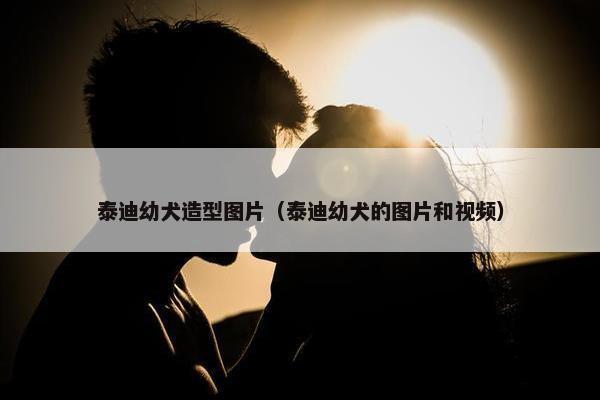 泰迪幼犬造型图片（泰迪幼犬的图片和视频）