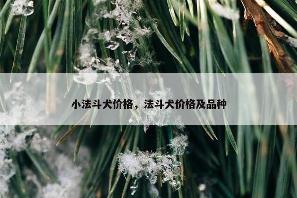 小法斗犬价格，法斗犬价格及品种