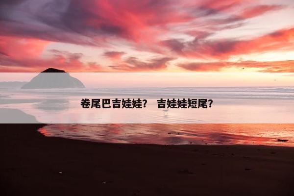 卷尾巴吉娃娃？ 吉娃娃短尾？