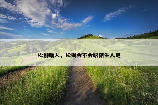 松狮蹭人，松狮会不会跟陌生人走
