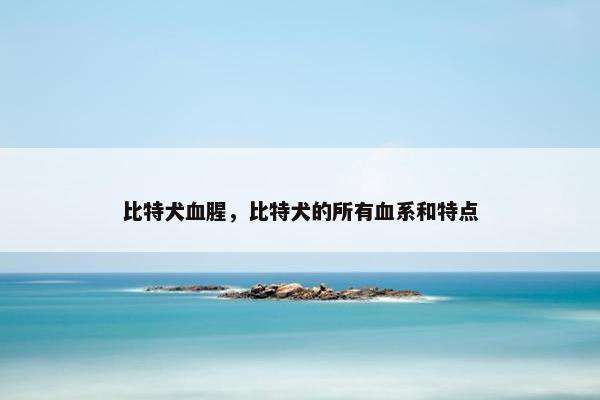 比特犬血腥，比特犬的所有血系和特点