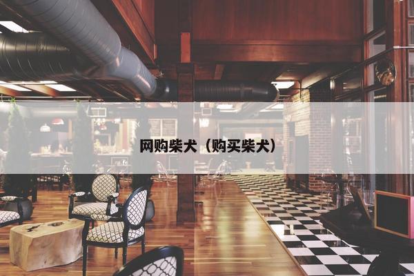 网购柴犬（购买柴犬）