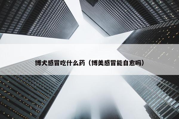 博犬感冒吃什么药（博美感冒能自愈吗）