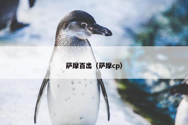 萨摩百出（萨摩cp）