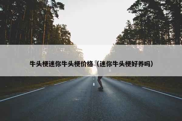 牛头梗迷你牛头梗价格（迷你牛头梗好养吗）
