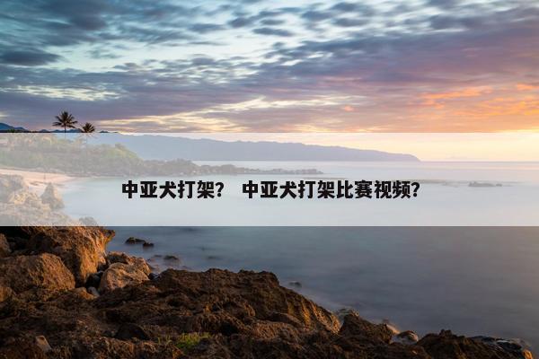 中亚犬打架？ 中亚犬打架比赛视频？