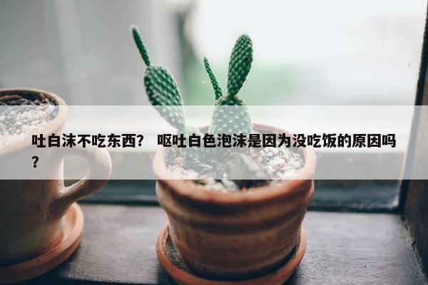 吐白沫不吃东西？ 呕吐白色泡沫是因为没吃饭的原因吗？
