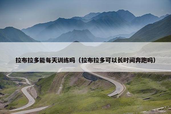 拉布拉多能每天训练吗（拉布拉多可以长时间奔跑吗）