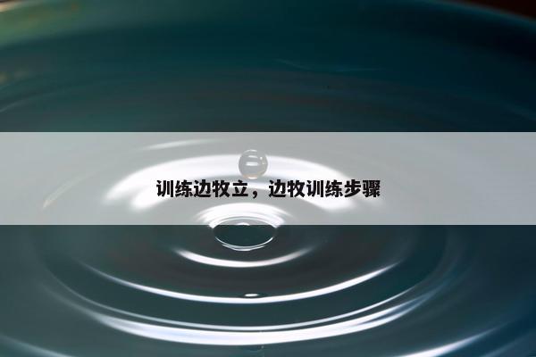 训练边牧立，边牧训练步骤