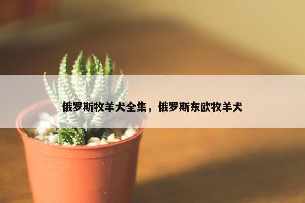 俄罗斯牧羊犬全集，俄罗斯东欧牧羊犬