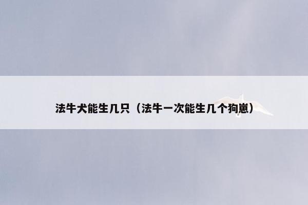法牛犬能生几只（法牛一次能生几个狗崽）