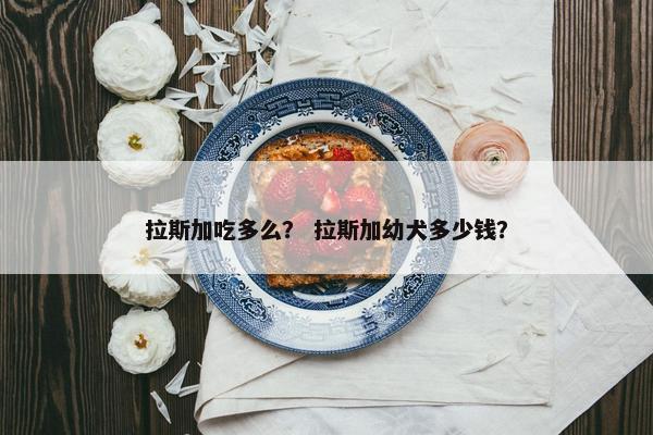 拉斯加吃多么？ 拉斯加幼犬多少钱？