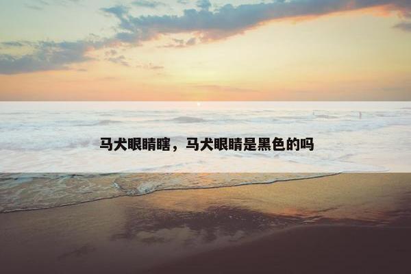 马犬眼睛瞎，马犬眼睛是黑色的吗