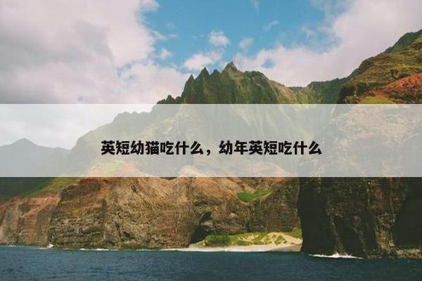 英短幼猫吃什么，幼年英短吃什么