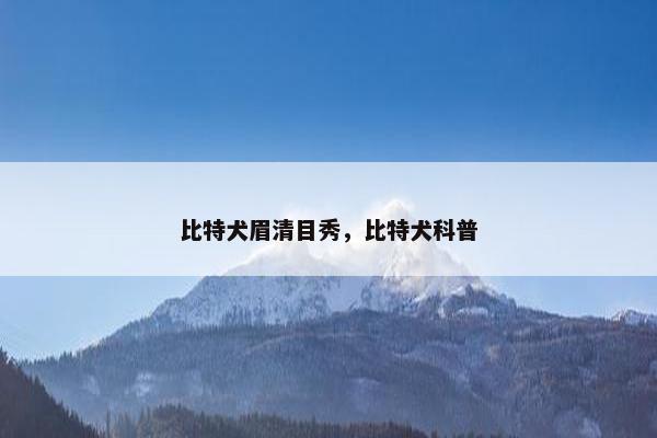 比特犬眉清目秀，比特犬科普