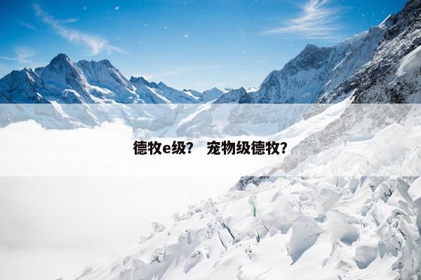 德牧e级？ 宠物级德牧？
