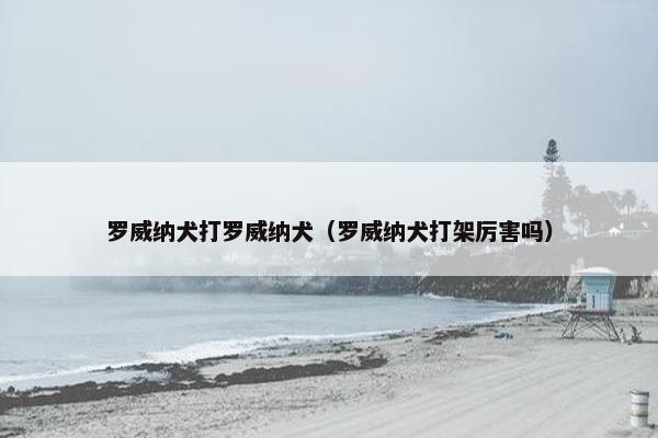 罗威纳犬打罗威纳犬（罗威纳犬打架厉害吗）