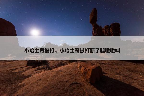 小哈士奇被打，小哈士奇被打断了腿嗷嗷叫