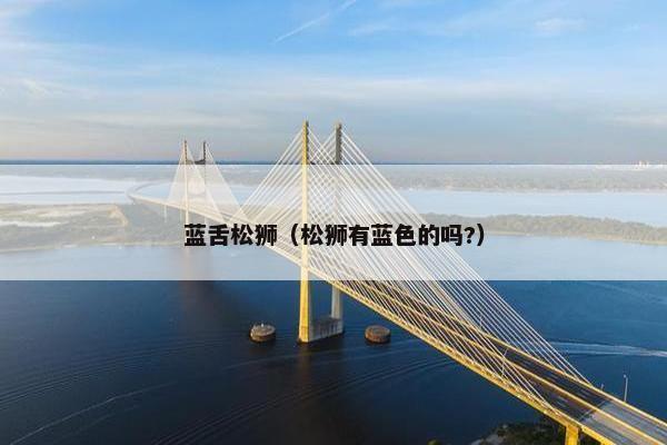 蓝舌松狮（松狮有蓝色的吗?）