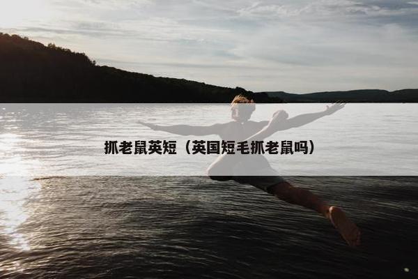 抓老鼠英短（英国短毛抓老鼠吗）