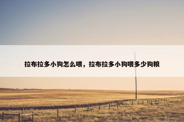 拉布拉多小狗怎么喂，拉布拉多小狗喂多少狗粮