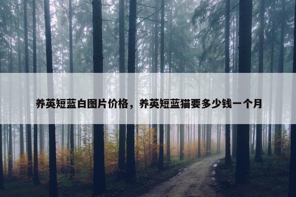 养英短蓝白图片价格，养英短蓝猫要多少钱一个月