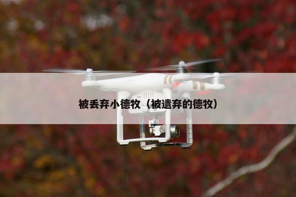 被丢弃小德牧（被遗弃的德牧）