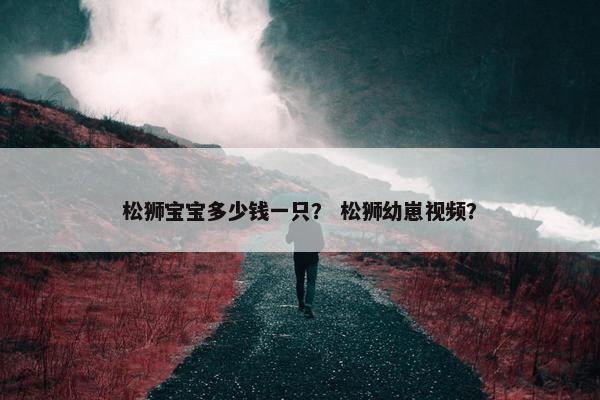 松狮宝宝多少钱一只？ 松狮幼崽视频？