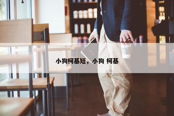 小狗柯基短，小狗 柯基