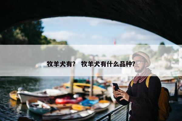 牧羊犬有？ 牧羊犬有什么品种？