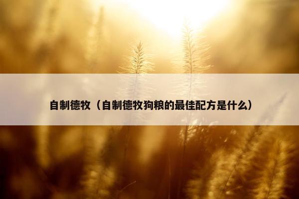 自制德牧（自制德牧狗粮的最佳配方是什么）