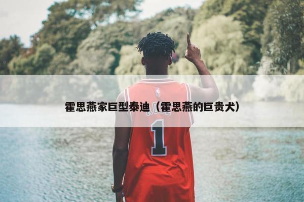 霍思燕家巨型泰迪（霍思燕的巨贵犬）