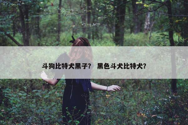 斗狗比特犬黑子？ 黑色斗犬比特犬？