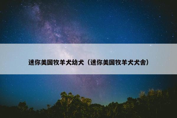 迷你美国牧羊犬幼犬（迷你美国牧羊犬犬舍）