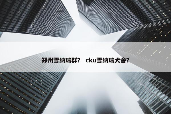 郑州雪纳瑞群？ cku雪纳瑞犬舍？