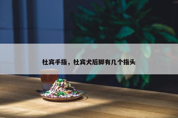 杜宾手指，杜宾犬后脚有几个指头
