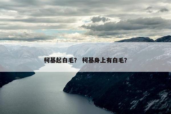 柯基起白毛？ 柯基身上有白毛？