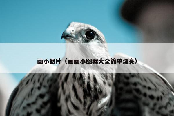 画小图片（画画小图案大全简单漂亮）