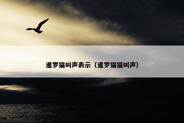 暹罗猫叫声表示（暹罗猫猫叫声）